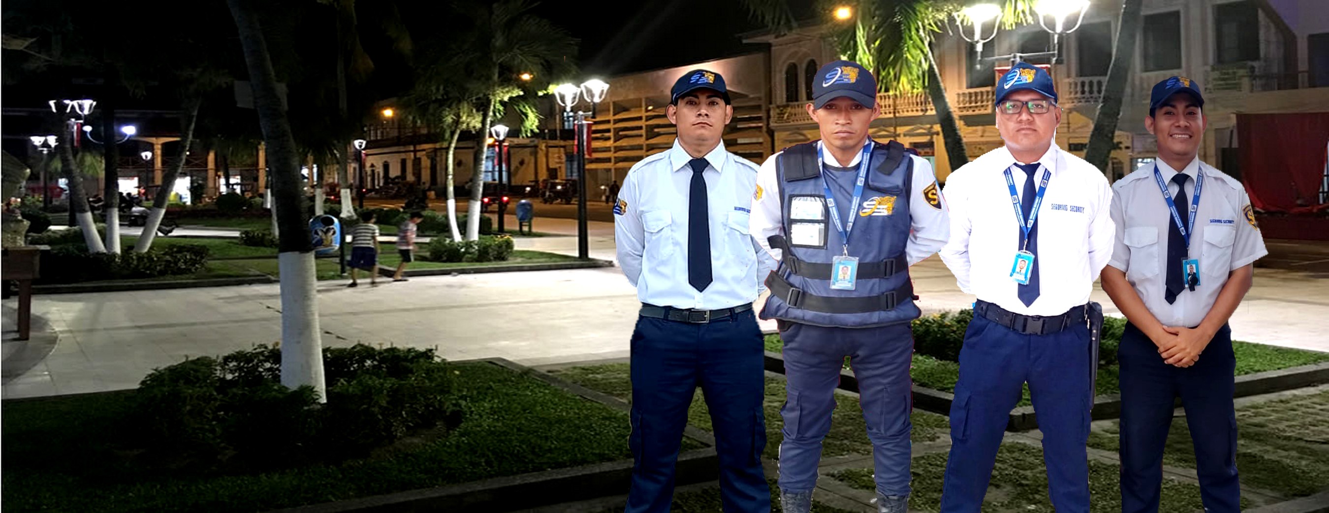 Vigilancia y Asesoría
