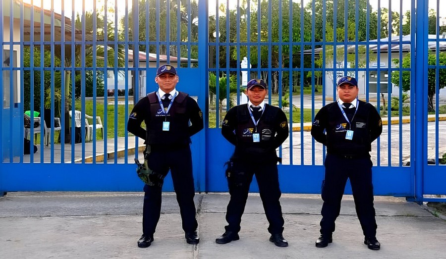 Agente de Seguridad Segurvig 11
