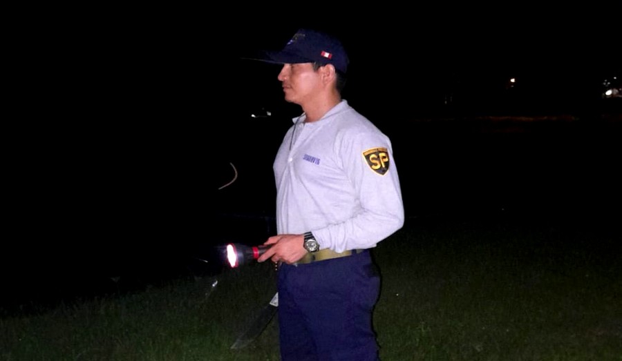 Agente de Seguridad Segurvig 4