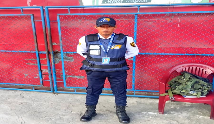 Agente de Seguridad Segurvig 6